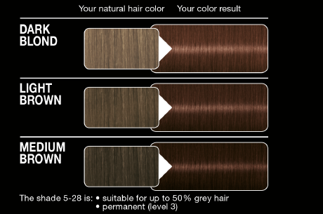 syoss hair color instructions
