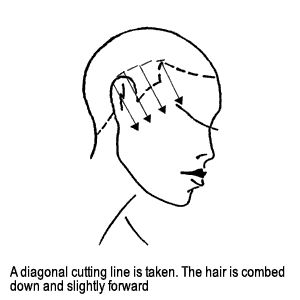 modern pompadour haircut instructions