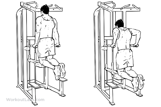 tricep bench dips instructions